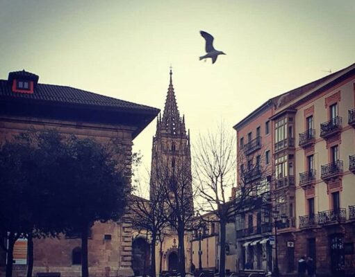 Excursión visita guiada a Oviedo