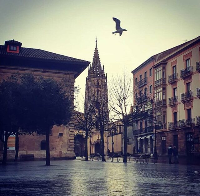 Excursión visita guiada a Oviedo